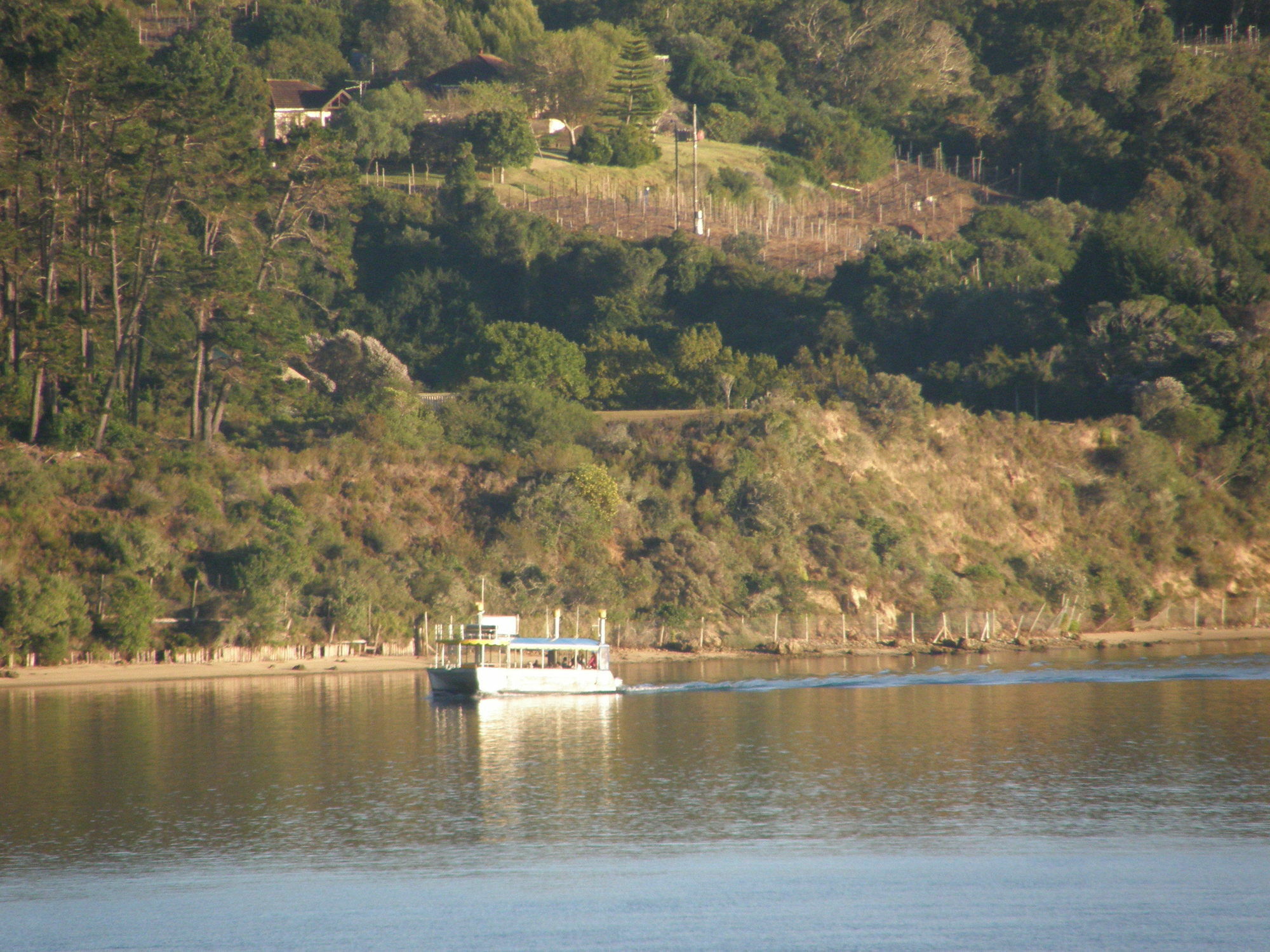 Augusta Bay Guest House Knysna Exteriör bild